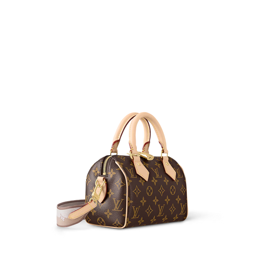 LV Speedy 20 Bag